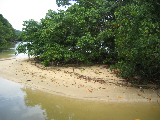 IMG_2231.JPG