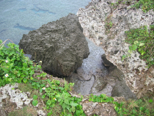 IMG_1881.JPG