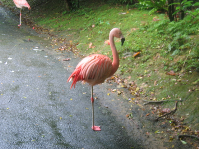 IMG_1824.JPG