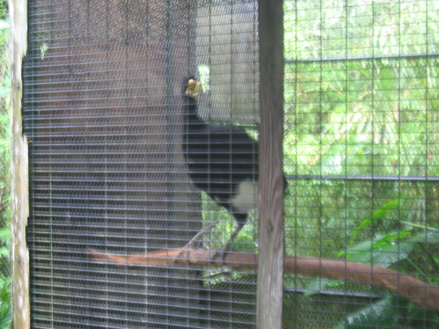 IMG_1828.JPG