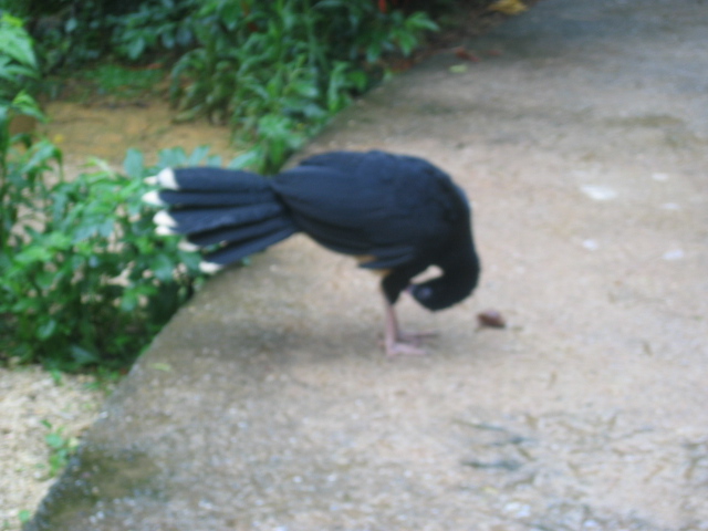 IMG_1835.JPG