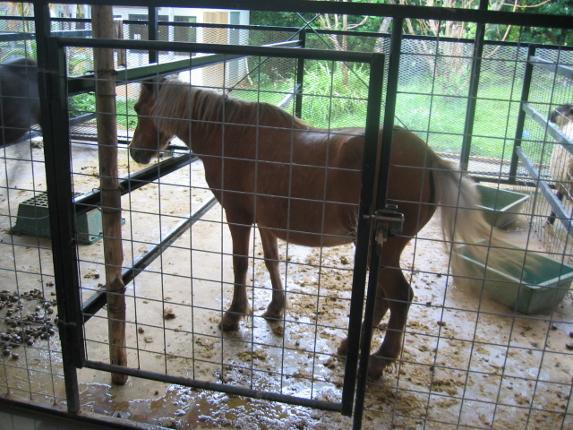 IMG_1836.JPG