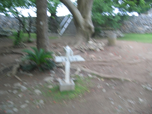 IMG_1780.JPG