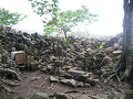 IMG_1795_thumb.png