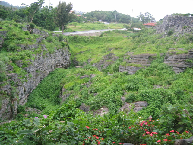 IMG_1799.JPG