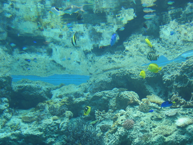 IMG_1716.JPG