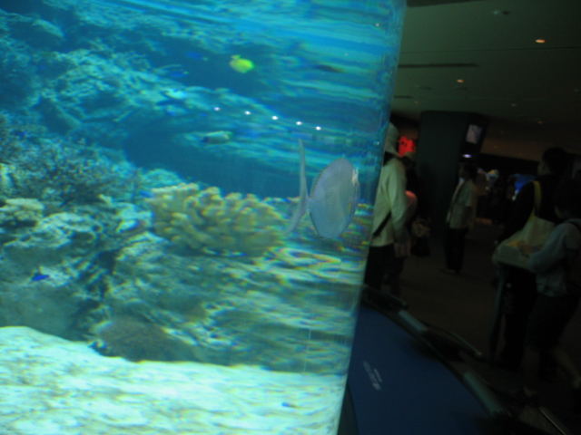IMG_1717.JPG