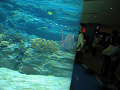 IMG_1717_thumb.png