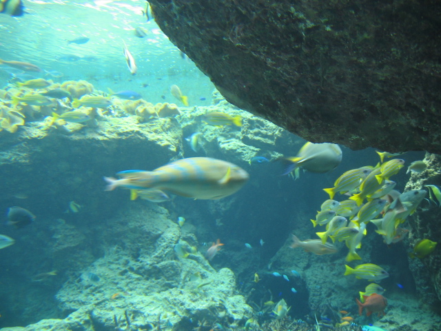 IMG_1721.JPG