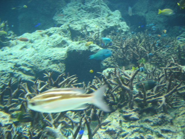 IMG_1724.JPG