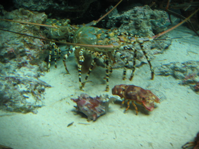 IMG_1732.JPG