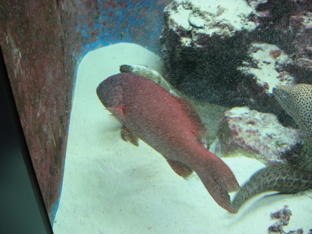 IMG_1733.JPG