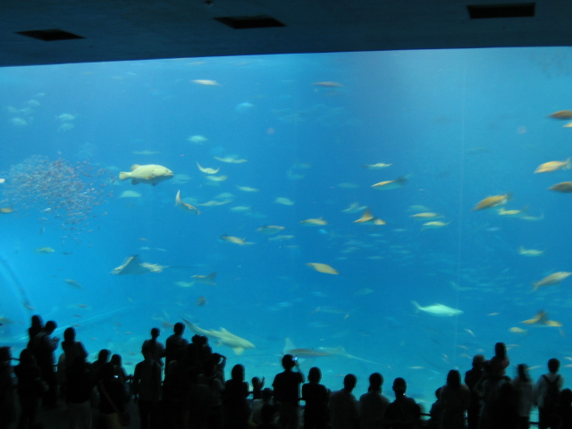 IMG_1738.JPG