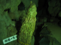 IMG_2066_thumb.png