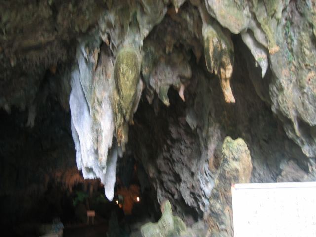 IMG_2081.JPG