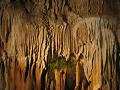 IMG_2181_thumb.png