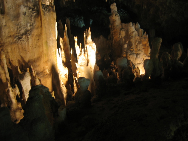 IMG_2197.JPG