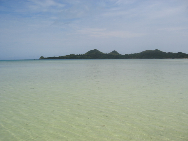 IMG_2036.JPG