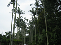 IMG_1690_thumb.png