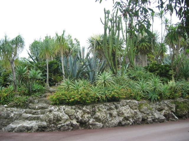 IMG_1699.JPG