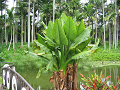 IMG_1701_thumb.png