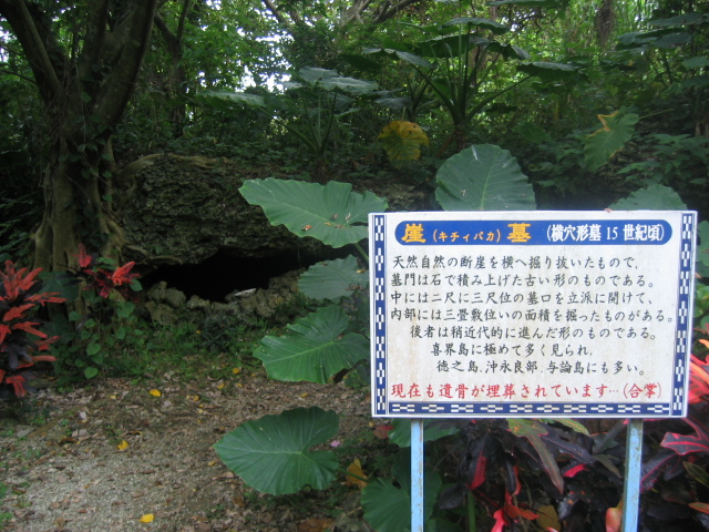 IMG_2132.JPG