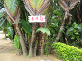 IMG_2257_thumb.png