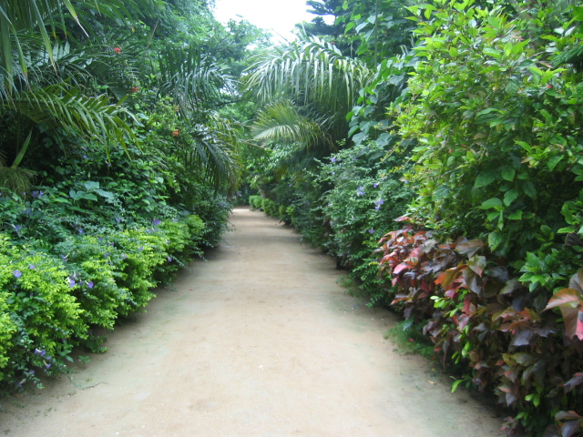 IMG_2272.JPG