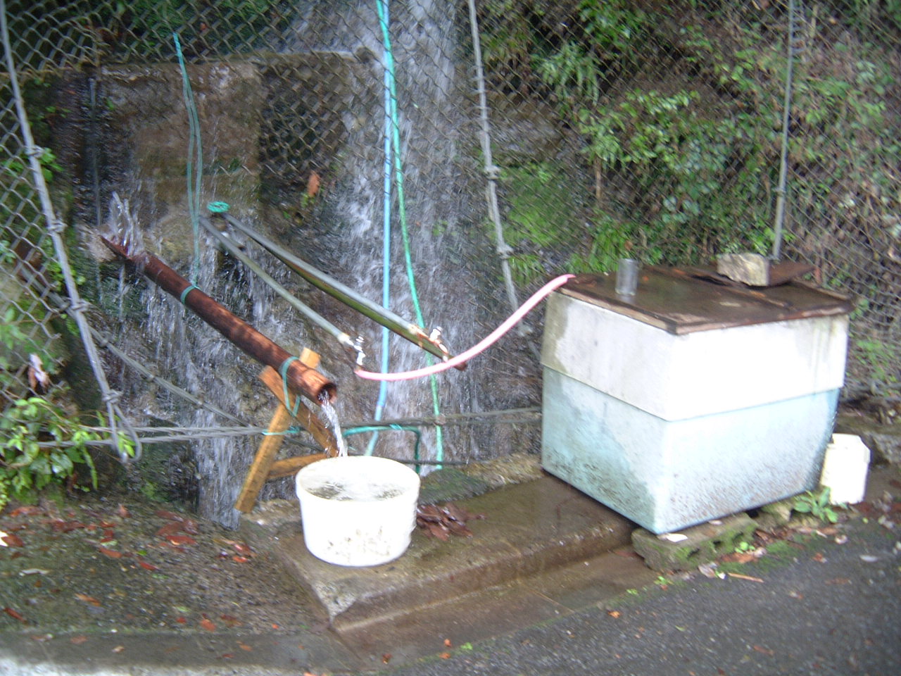 DSCF0090.JPG