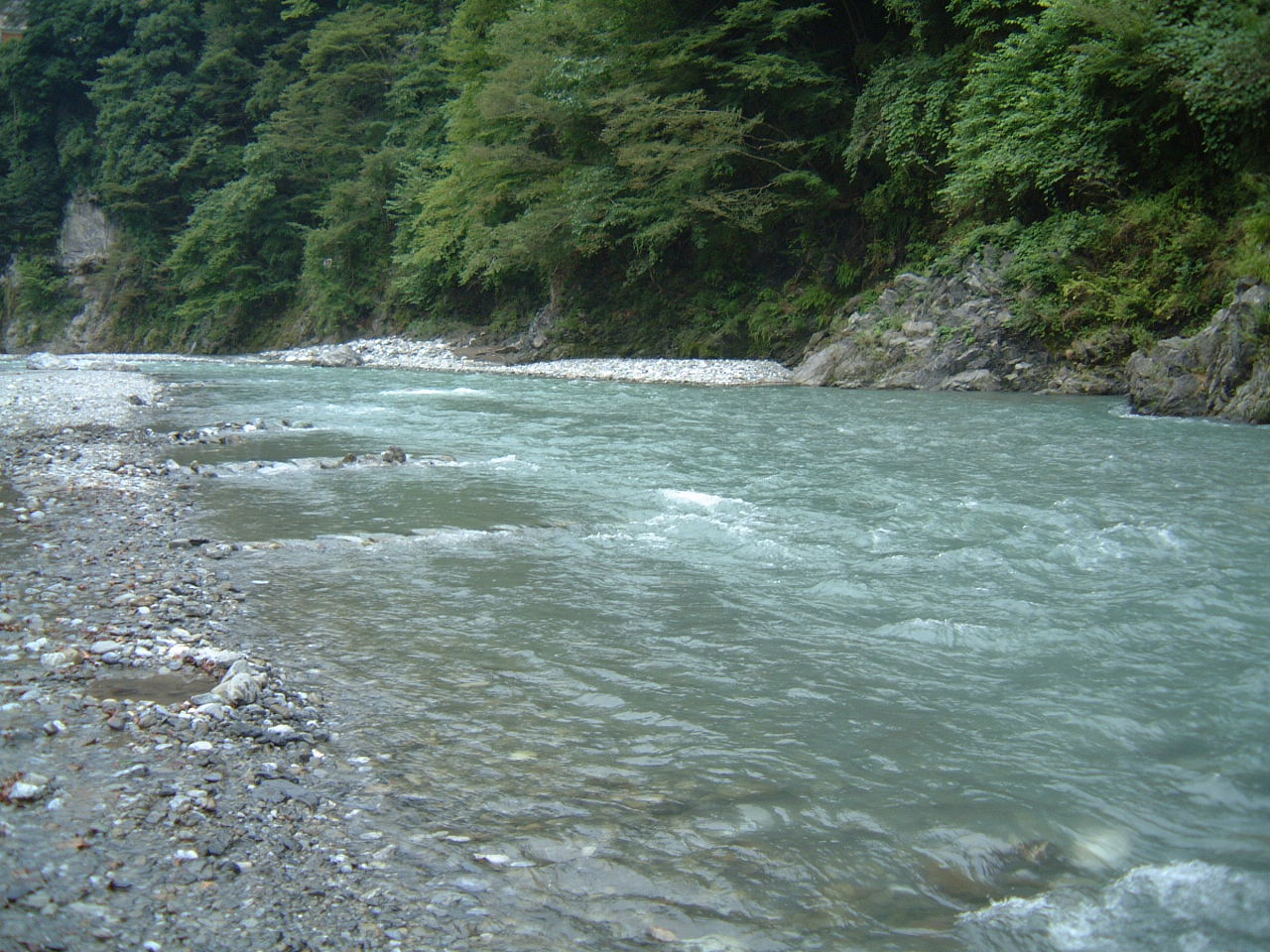 DSCF0117.JPG
