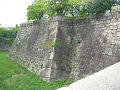 IMG_1533_thumb.png