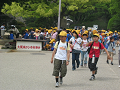 IMG_1537_thumb.png