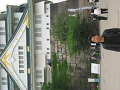 IMG_1541_thumb.png