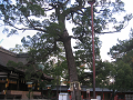 IMG_3735_thumb.png