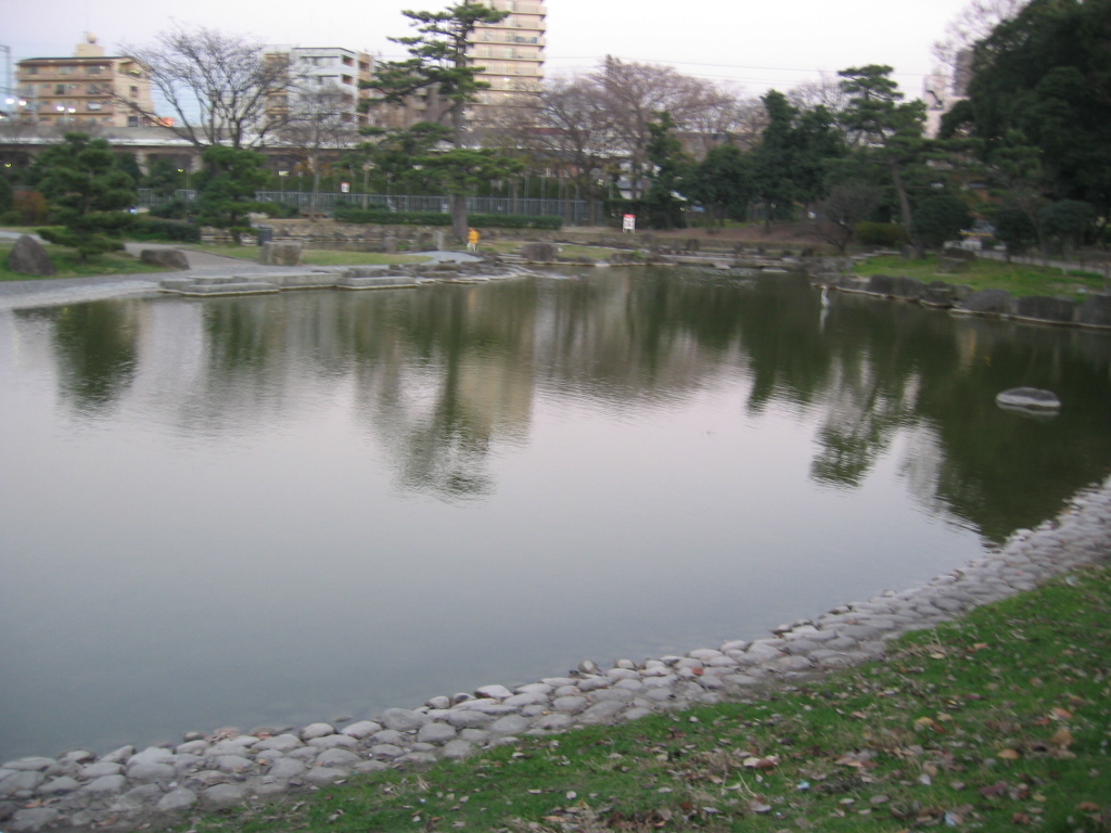 IMG_3755.JPG