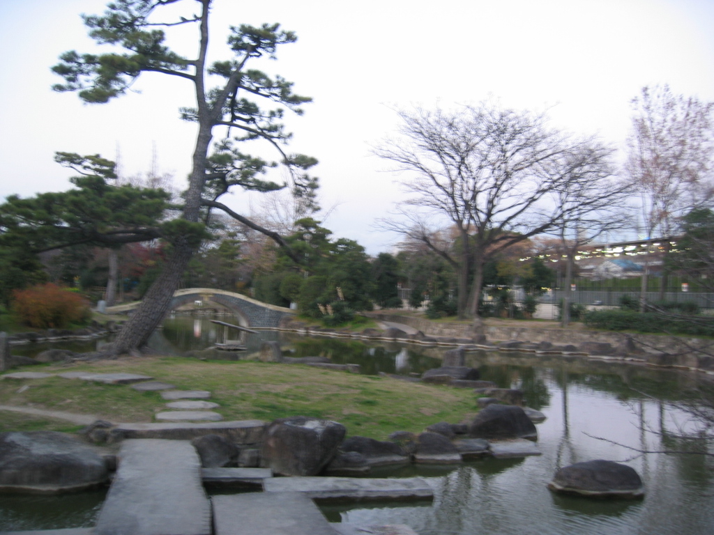 IMG_3758.JPG
