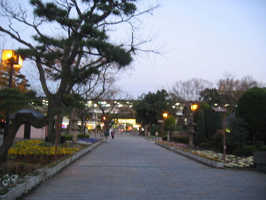 IMG_3766.JPG