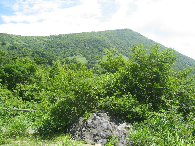 IMG_2485.JPG
