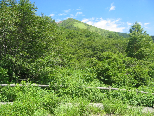 IMG_2486.JPG