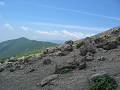 IMG_2495_thumb.png