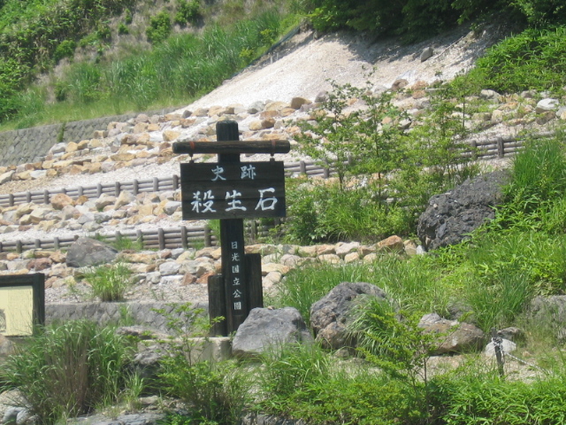IMG_2517.JPG